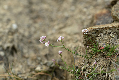 BUITEN BEELD Foto: 362663