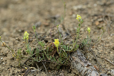 BUITEN BEELD Foto: 362667