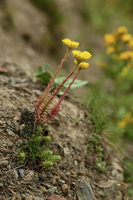 BUITEN BEELD Foto: 362674