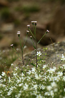 BUITEN BEELD Foto: 362685