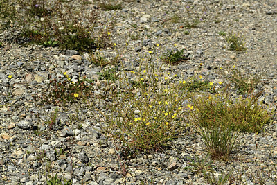 BUITEN BEELD Foto: 362704