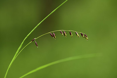 BUITEN BEELD Foto: 362725