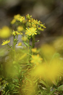BUITEN BEELD Foto: 362733