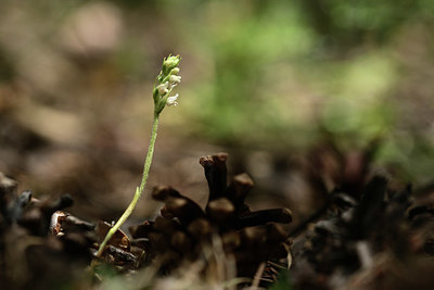 BUITEN BEELD Foto: 362752
