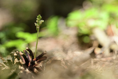 BUITEN BEELD Foto: 362753