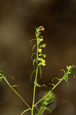 BUITEN BEELD Foto: 362758