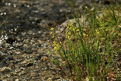 BUITEN BEELD Foto: 362759