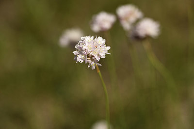 BUITEN BEELD Foto: 362804