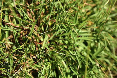 BUITEN BEELD Foto: 362806