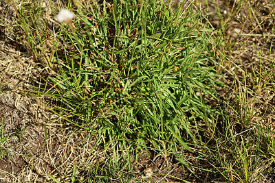 BUITEN BEELD Foto: 362807