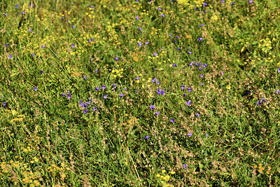 BUITEN BEELD Foto: 362808