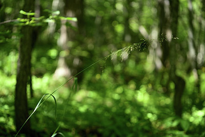 BUITEN BEELD Foto: 362902