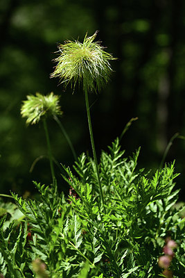 BUITEN BEELD Foto: 362904