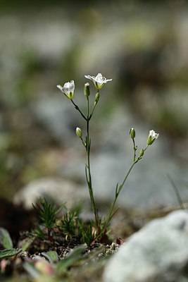 BUITEN BEELD Foto: 362943