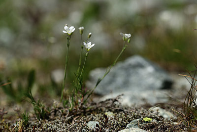 BUITEN BEELD Foto: 362944