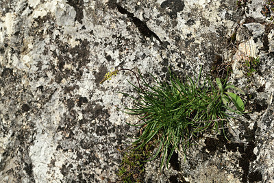 BUITEN BEELD Foto: 362995