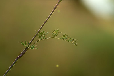 BUITEN BEELD Foto: 363006