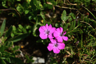 BUITEN BEELD Foto: 363024