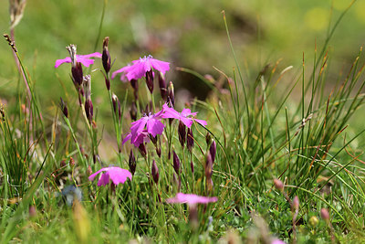 BUITEN BEELD Foto: 363026
