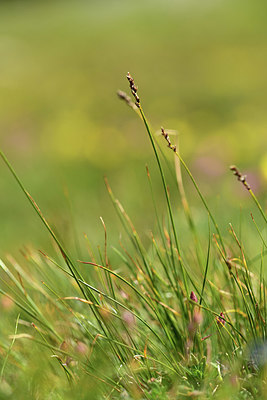 BUITEN BEELD Foto: 363027