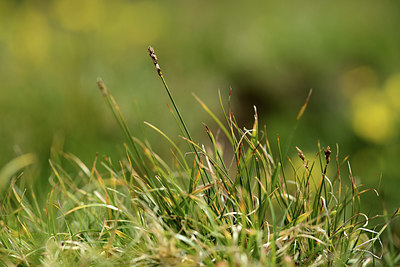 BUITEN BEELD Foto: 363029