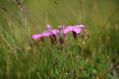 BUITEN BEELD Foto: 363032
