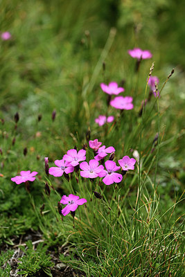 BUITEN BEELD Foto: 363033