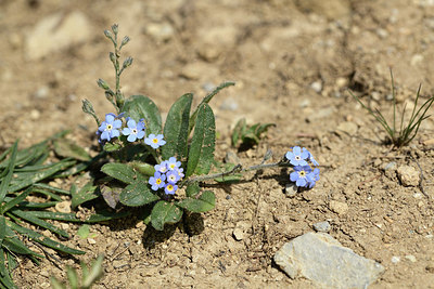 BUITEN BEELD Foto: 363054