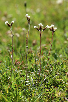 BUITEN BEELD Foto: 363069