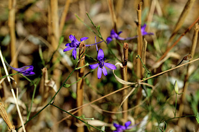 BUITEN BEELD Foto: 363073