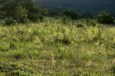 BUITEN BEELD Foto: 363114