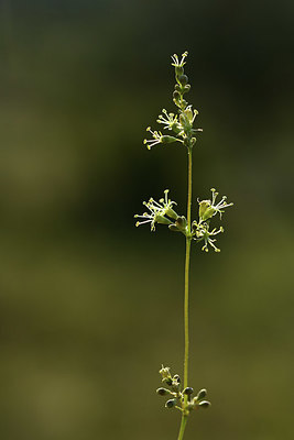 BUITEN BEELD Foto: 363115