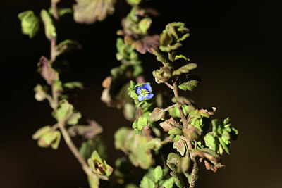 BUITEN BEELD Foto: 363136