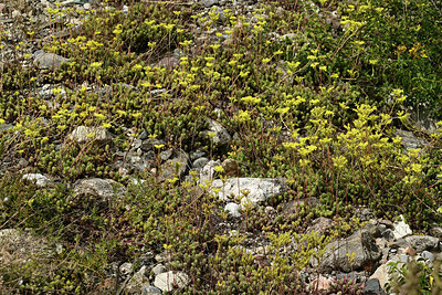 BUITEN BEELD Foto: 363140