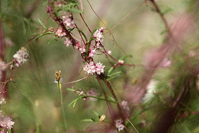 BUITEN BEELD Foto: 363151