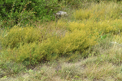 BUITEN BEELD Foto: 363163