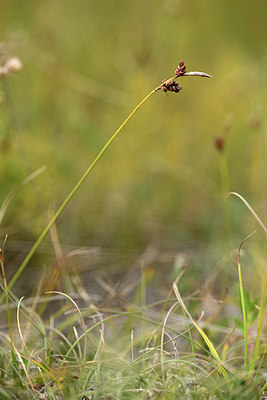 BUITEN BEELD Foto: 363165