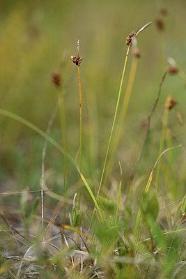BUITEN BEELD Foto: 363167