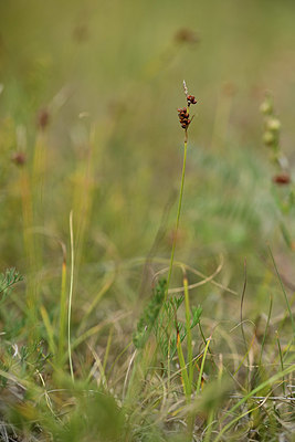 BUITEN BEELD Foto: 363168