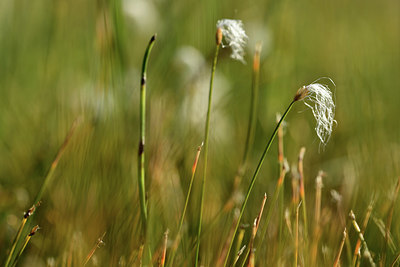 BUITEN BEELD Foto: 363213