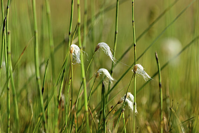BUITEN BEELD Foto: 363214
