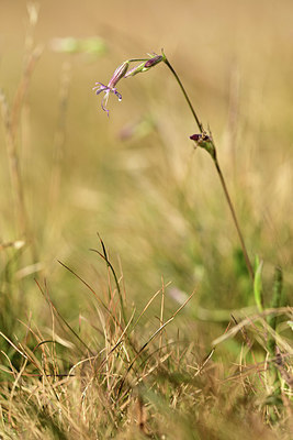 BUITEN BEELD Foto: 363221