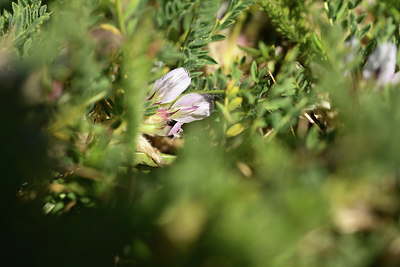 BUITEN BEELD Foto: 363231