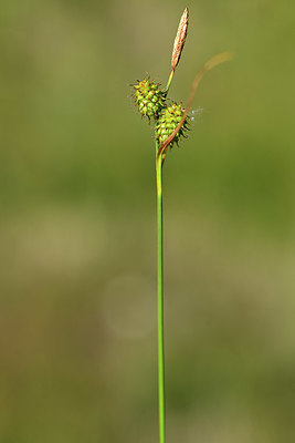 BUITEN BEELD Foto: 363242