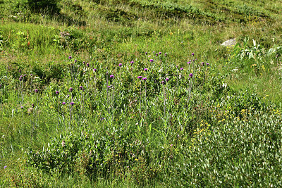 BUITEN BEELD Foto: 363245