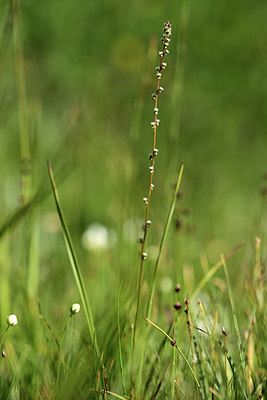 BUITEN BEELD Foto: 363246