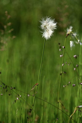 BUITEN BEELD Foto: 363256