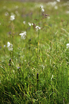 BUITEN BEELD Foto: 363257