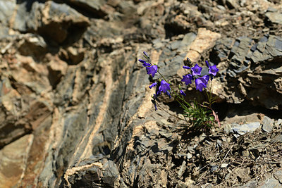 BUITEN BEELD Foto: 363275