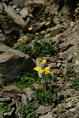 BUITEN BEELD Foto: 363276